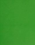 4x3 1/3 Labels - Green (for laser &amp; inkjet printers) - Rectangle - SL104VP (vertical perf)-TG