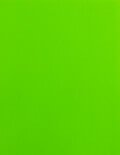 4x2 1/2 Labels - Fluorescent Green (for laser &amp; inkjet printers) - Rectangle - SL536-FG